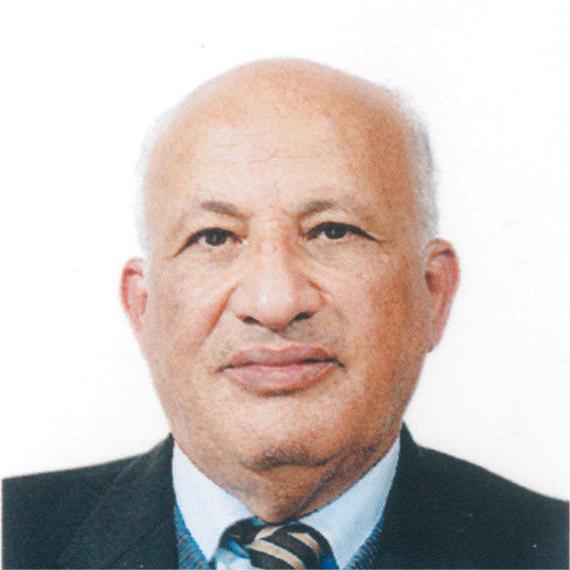 Abdel Aziz Hamdi